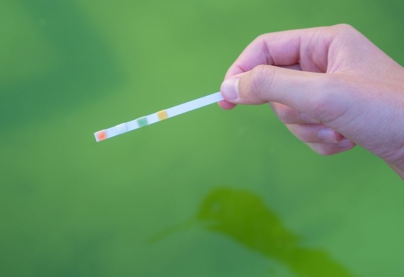 exemple de test de la qualité de l'eau d'une piscine